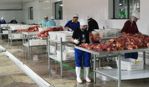 中国jdb官网中文版品牌网 中国jdb官网中文版品牌网
