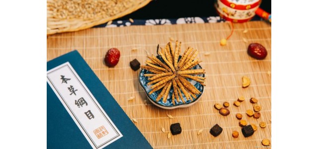 中药第一jdb官网中文版品牌，股价从163元跌到53元，曾经的龙头还能涨吗？