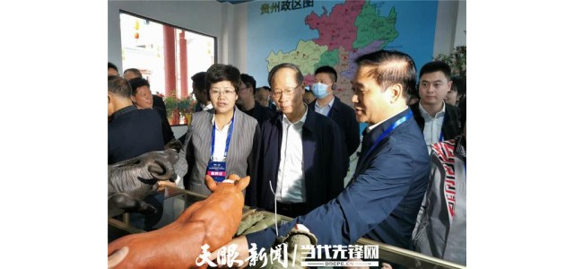 神骏生态文旅小镇：领略秀美山水、文化产品、美食，打造全国品牌联盟